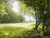 French property for sale in Saint-Palais, Allier - €259,000 - thumbnail 7