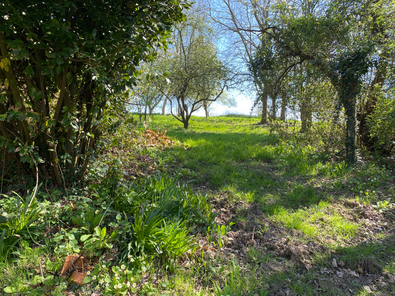 French property for sale in Saint-Aubin-de-Terregatte, Manche - €77,000 - photo 7