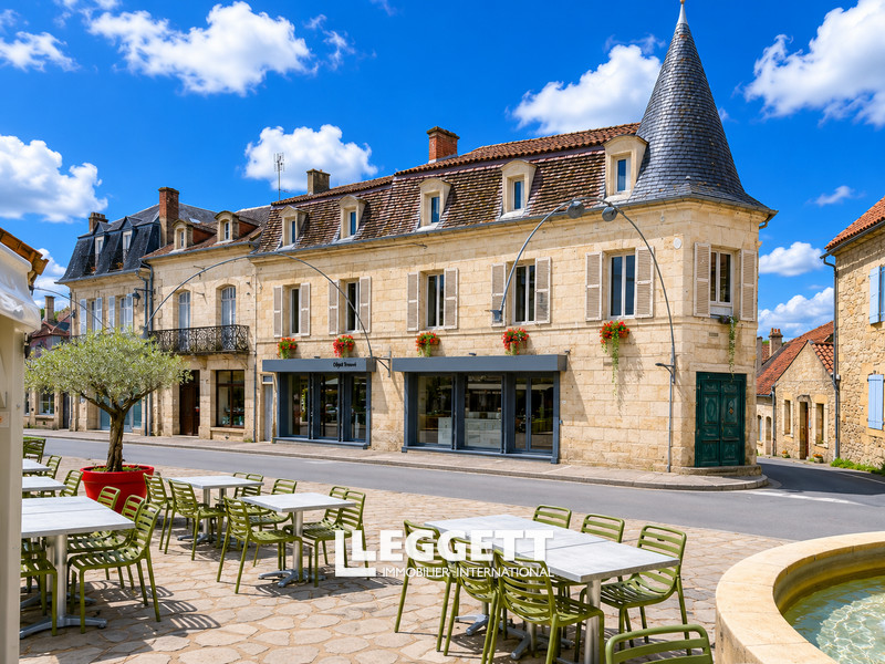 Maison 12 pièce(s), SAINT-CYPRIEN