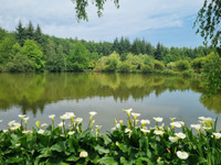 Lacs à vendre à Pouzauges, Vendée - 1 100 000 € - photo 2