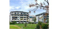 French property, houses and homes for sale in Lucciana Corsica Corse