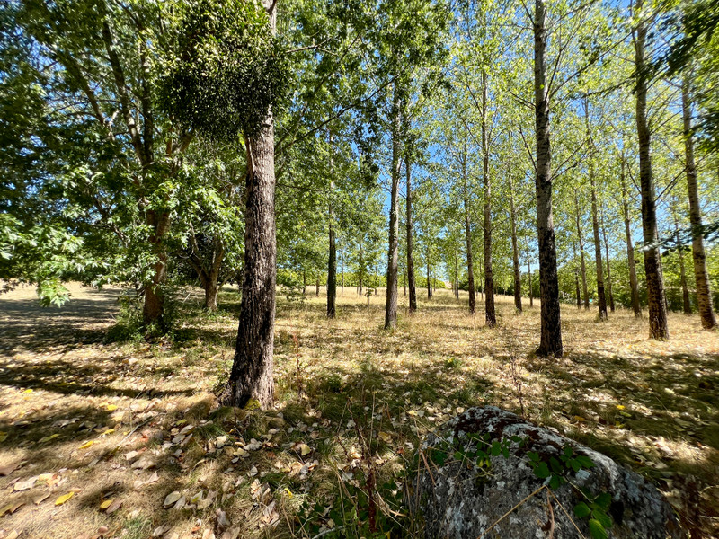 French property for sale in Loubès-Bernac, Lot-et-Garonne - €499,000 - photo 5