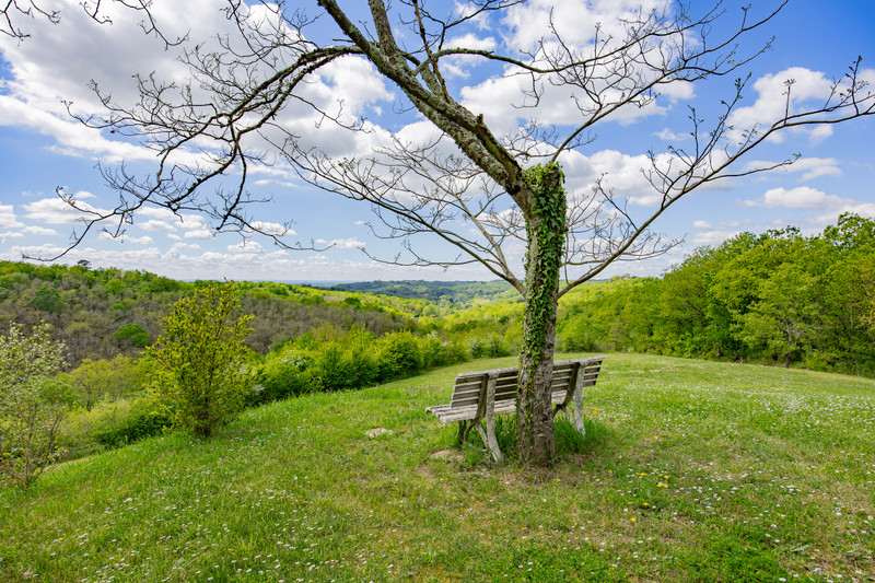 French property for sale in L'Honor-de-Cos, Tarn-et-Garonne - €675,000 - photo 12