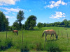 French property for sale in Mont-Saint-Jean, Sarthe - €379,000 - thumbnail 9