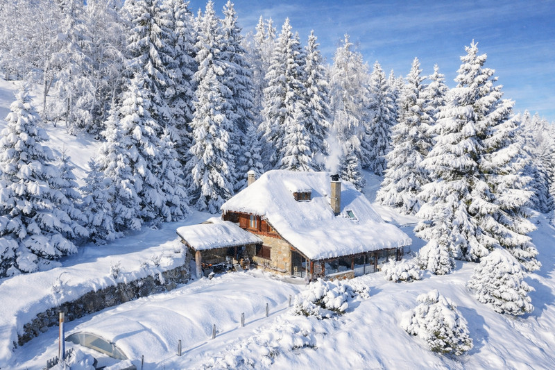 Ski property for sale in Savoie Grand Revard - €1,350,000 - photo 0