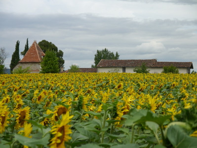 French property for sale in Le Temple-sur-Lot, Lot-et-Garonne - €620,000 - photo 9