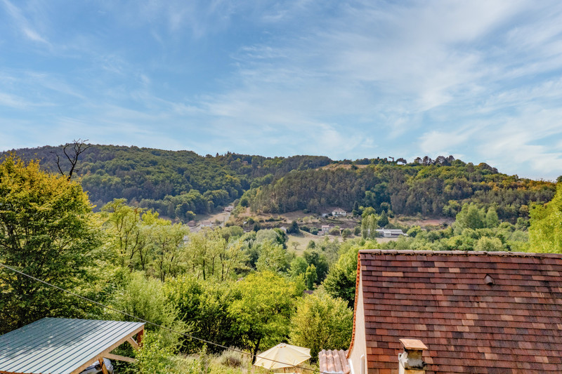 French property for sale in Le Bugue, Dordogne - €185,000 - photo 9