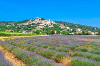 Maison à vendre à Simiane-la-Rotonde, Alpes-de-Haute-Provence - 390.000 € - photo 1