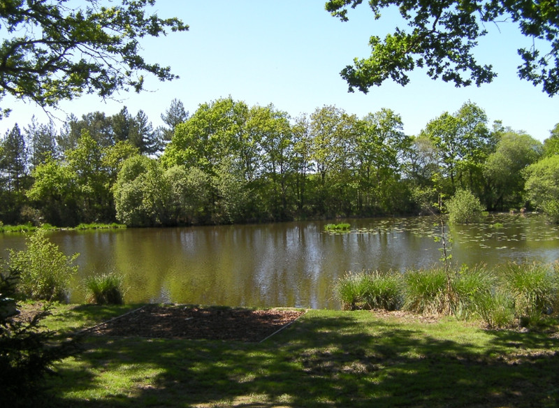 French property for sale in Les Brulais, Ille-et-Vilaine - €475,000 - photo 7