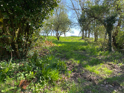 French property for sale in Saint-Aubin-de-Terregatte, Manche - €77,000 - photo 7