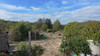 French property for sale in Abjat-sur-Bandiat, Dordogne - €149,999 - thumbnail 14