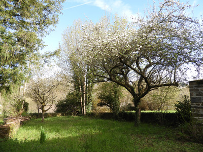 French property for sale in Uzerche, Corrèze - €299,990 - photo 5