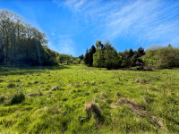 Propriété à vendre à Piégut-Pluviers, Dordogne - 147 150 € - photo n°10