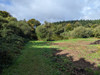 French property for sale in Saint-Goussaud, Creuse - €61,600 - thumbnail 9