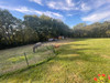 French property for sale in Masseube, Gers - €278,000 - thumbnail 9