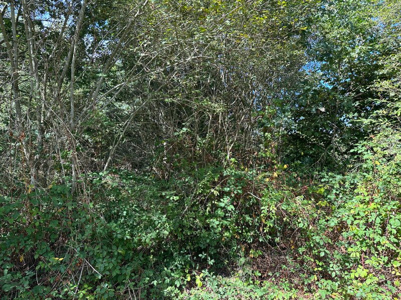 French property for sale in Saint-Saud-Lacoussière, Dordogne - €30,100 - photo 13
