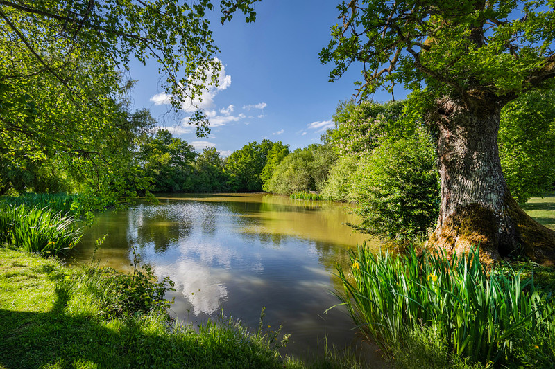 French property for sale in Colméry, Nièvre - €895,000 - photo 14