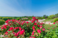 Maison à vendre à Verteuil-d'Agenais, Lot-et-Garonne - 234.000 € - photo 10