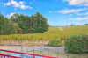 French property for sale in Saint-Sernin, Lot-et-Garonne - €2,650,000 - thumbnail 9