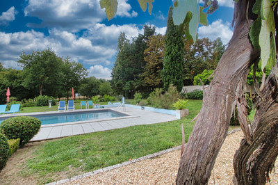 French property for sale in Amboise, Indre-et-Loire - €348,740 - photo 7