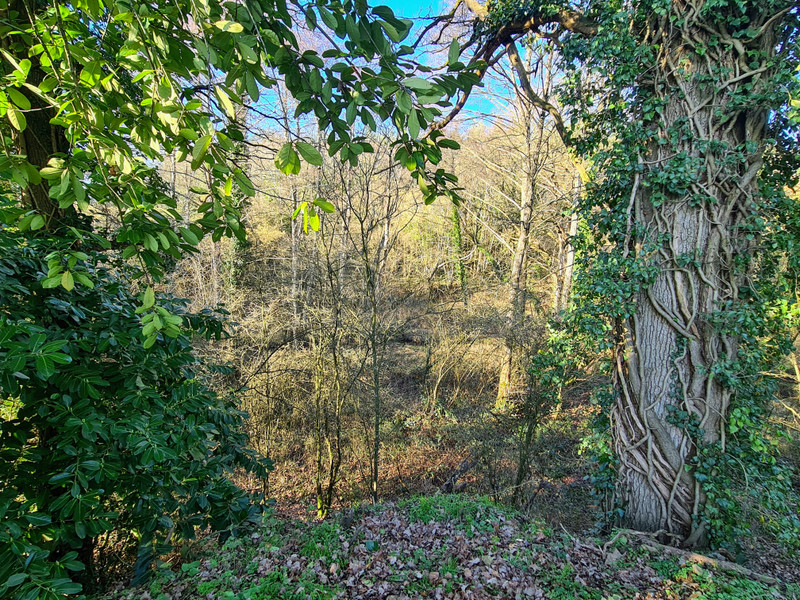 House for sale in ColombiersduPlessis Mayenne Pretty gite complex