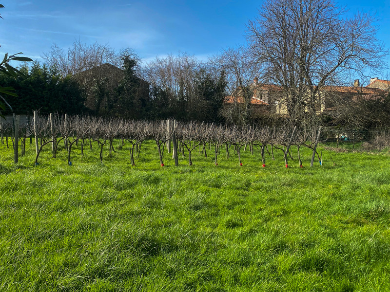 French property for sale in Val-de-Bonnieure, Charente - €259,000 - photo 7
