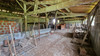 French property for sale in Saint-Christophe-de-Double, Gironde - €132,000 - thumbnail 9