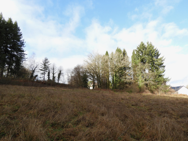 Land for sale in Affieux Corrèze Building plot of 1,3 hectares