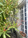 French property for sale in Lignières-Sonneville, Charente - €183,600 - thumbnail 14