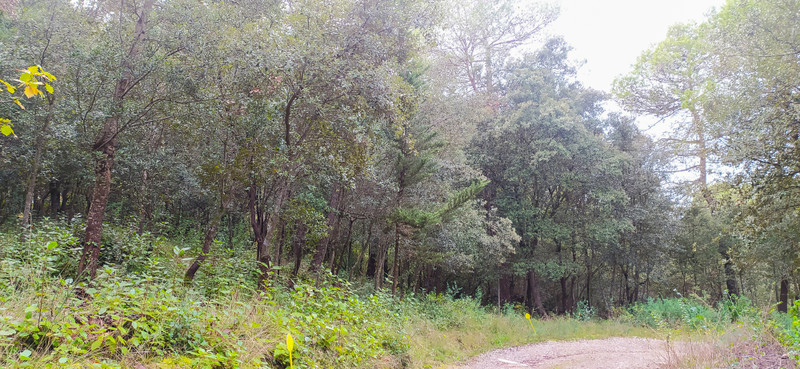 Terrain à vendre à Palaja, Aude - 103.335 € - photo 1