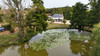 French property for sale in Cléré-du-Bois, Indre - €249,950 - thumbnail 13