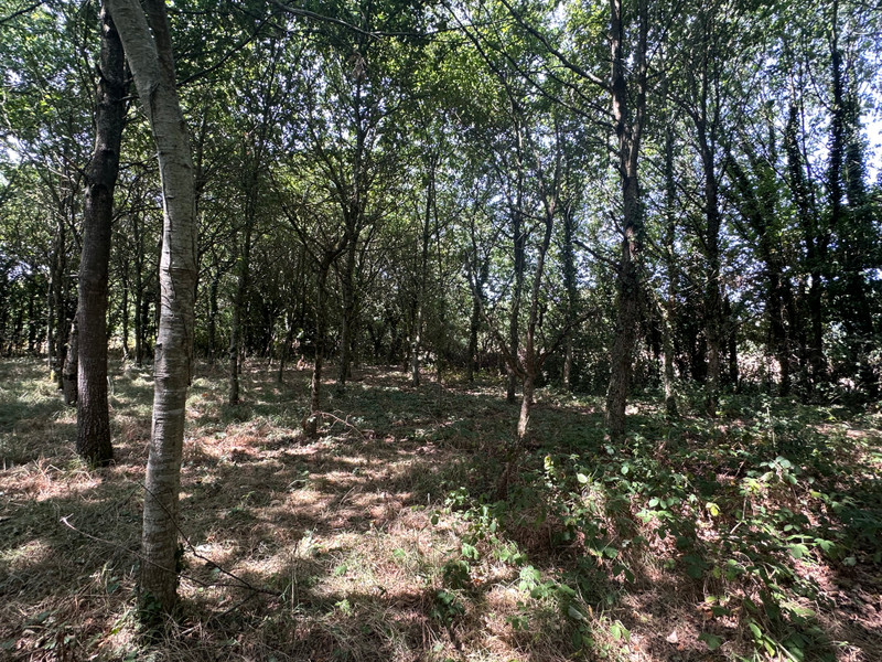 French property for sale in Val d'Oust, Morbihan - €478,400 - photo 9