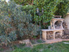 French property for sale in Rochefort-du-Gard, Gard - €295,000 - thumbnail 14