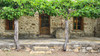 French property for sale in Cucugnan, Aude - €480,000 - thumbnail 14