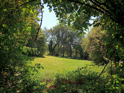 French property for sale in Marcillac-la-Croisille, Corrèze - €278,200 - photo 4