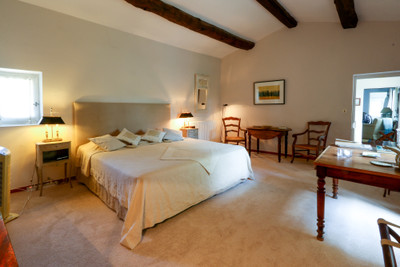 French property for sale in Rustrel, Vaucluse - €2,295,000 - photo 8