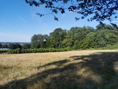 French property for sale in Saint-Gravé, Morbihan - €50,000 - photo 14