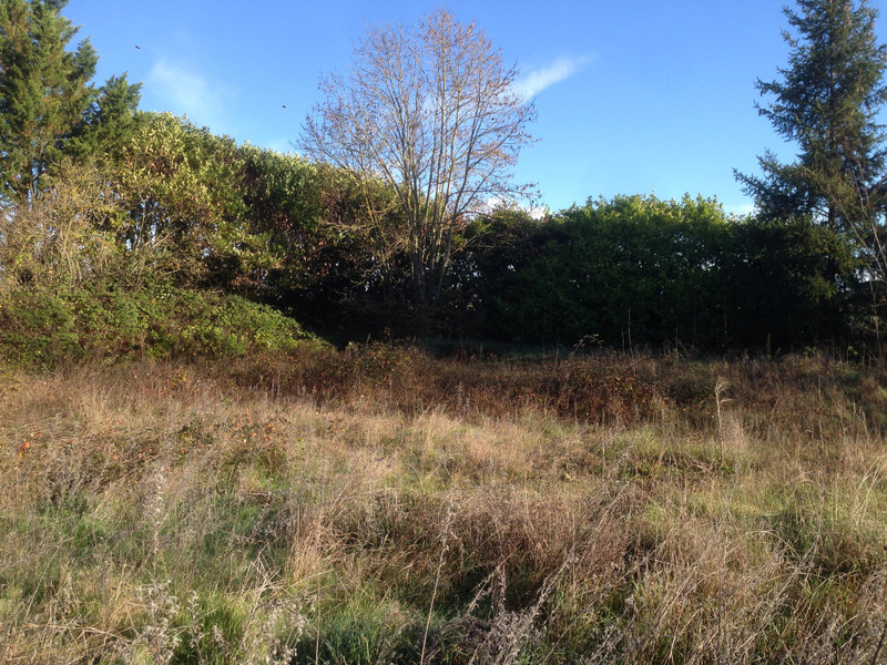 French property for sale in Gout-Rossignol, Dordogne - &#8364;25,000 - photo 3