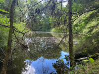Lacs à vendre à Champs-Romain, Dordogne - 41.600 € - photo 3
