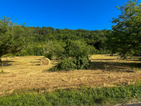 Terrain à vendre à Terrasson-Lavilledieu, Dordogne - 28.500 € - photo 2
