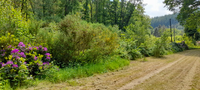French property for sale in La Lande-de-Goult, Orne - €168,500 - photo 14