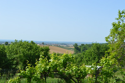 French property for sale in Hautesvignes, Lot-et-Garonne - €199,800 - photo 1