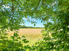 French property for sale in Nantillé, Charente-Maritime - €325,000 - thumbnail 14
