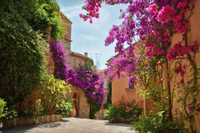 French property, houses and homes for sale in Bormes-les-Mimosas Var Provence_Cote_d_Azur