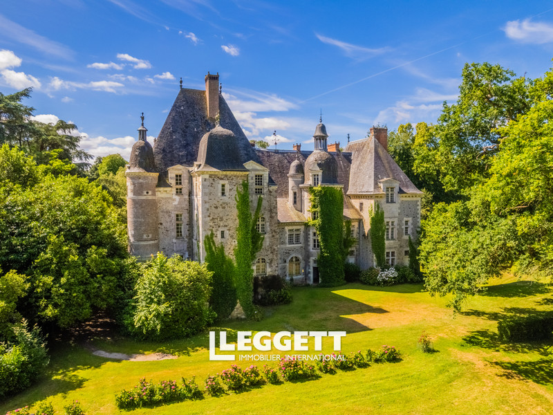 Château 20 pièce(s), CHAZÉ-SUR-ARGOS