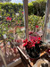 French property for sale in Antibes, Alpes-Maritimes - €614,800 - thumbnail 13