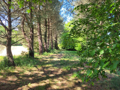 French property for sale in Savigny-en-Sancerre, Cher - €255,000 - photo 9