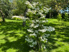 French property for sale in Plestin-les-Grèves, Côtes-d'Armor - €1,395,000 - thumbnail 9
