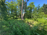 Terrain à vendre à Chancelade, Dordogne - 59.000 € - photo 6