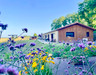 French property for sale in Saint-Avit-Sénieur, Dordogne - €429,000 - thumbnail 14